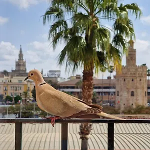Hébergement de vacances Betis Del Oro, Séville